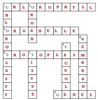 NCERT Solutions for Class 8 Science Chapter 8 Cell Structure and Functions image 5