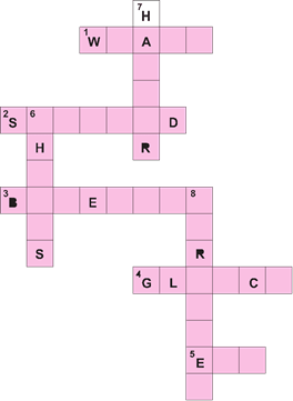 NCERT Solutions for Class 6 English Honeysuckle Chapter 1 Who did Patrick's Homework image 1