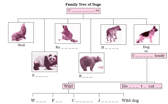 NCERT Solutions for Class 6 English Honeysuckle Chapter 2 How the Dog Found Himself a New Master image 3