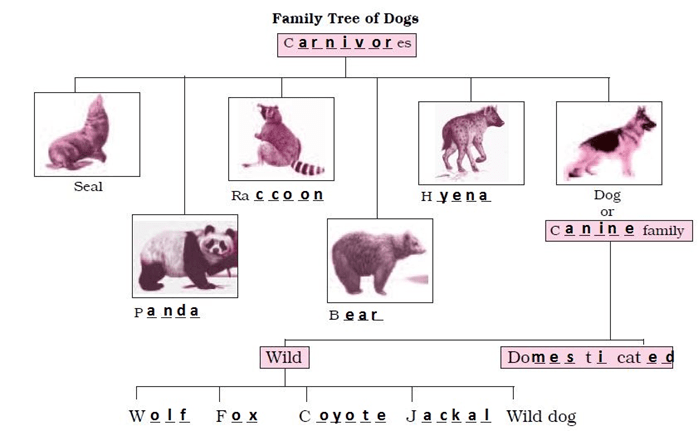 NCERT Solutions for Class 6 English Honeysuckle Chapter 2 How the Dog Found Himself a New Master image 4